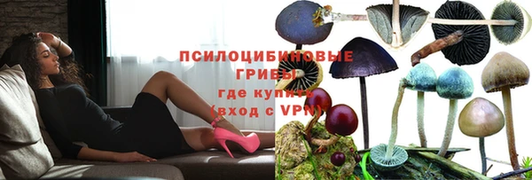 альфа пвп Заволжск