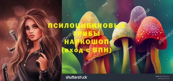 кристаллы Инта