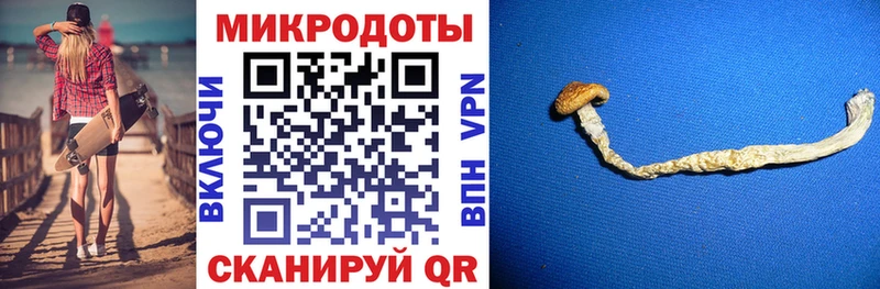 omg зеркало  Михайловка  Галлюциногенные грибы Magic Shrooms 